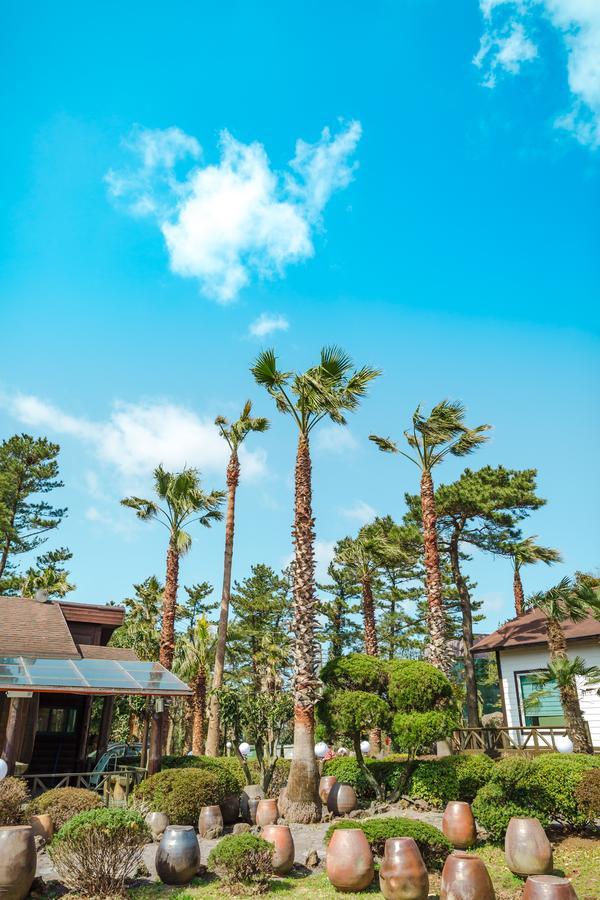 Bijarim Resort Чеджудо Экстерьер фото